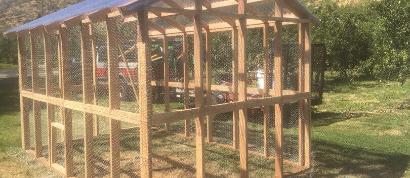 chickencoop-new